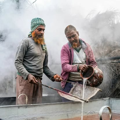 গাছিরা খেজুরের রস সংগ্রহ করছেন